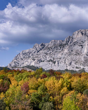 De kleuren van de herfst