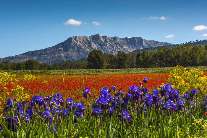 Sainte-Victoire Printanière trois Sainte-Victoire Printanière trois