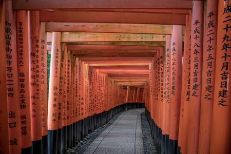 FUSHIMI INARI TAISHA FUSHIMI INARI TAISHA