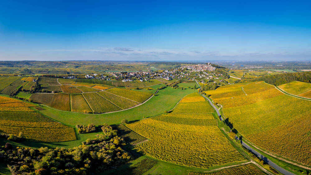 Discovering Sancerre - Photographic print for sale