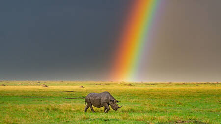 Einsamkeit Einsamkeit