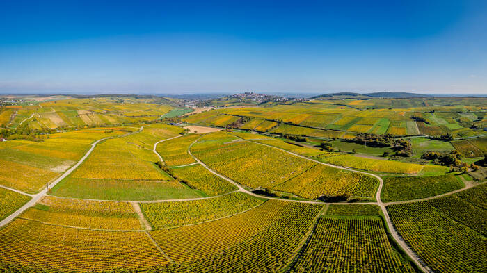 A la rencontre de Sancerre A la rencontre de Sancerre