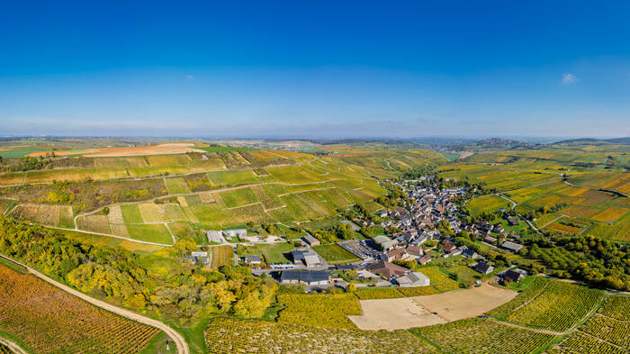 Chavignol entre vin et fromage Chavignol entre vin et fromage