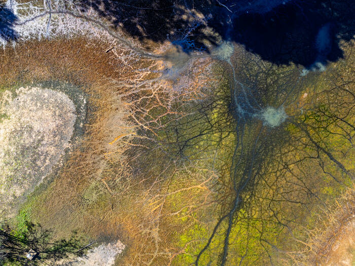 Dessins de Loire Dessins de Loire