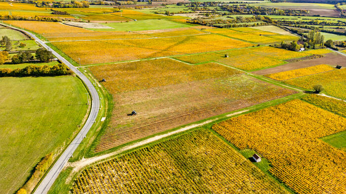 Les couleurs des vignes de Menetou Salon Les couleurs des vignes de Menetou Salon