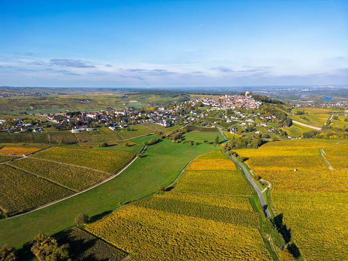 Sancerre et ses vignes Sancerre et ses vignes