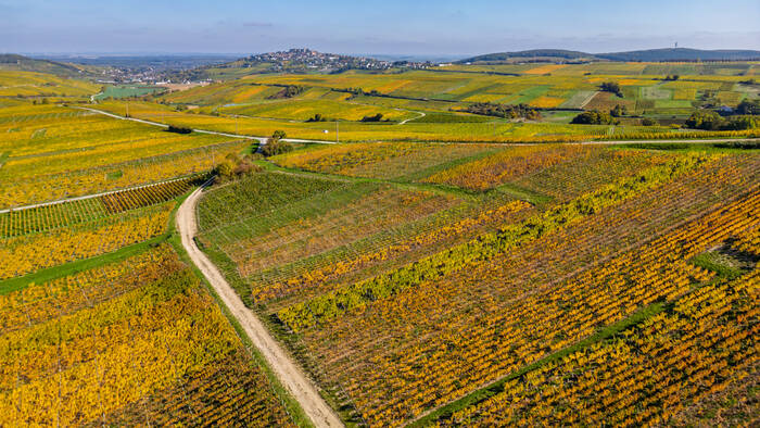 Sur les chemins du Sancerrois Sur les chemins du Sancerrois