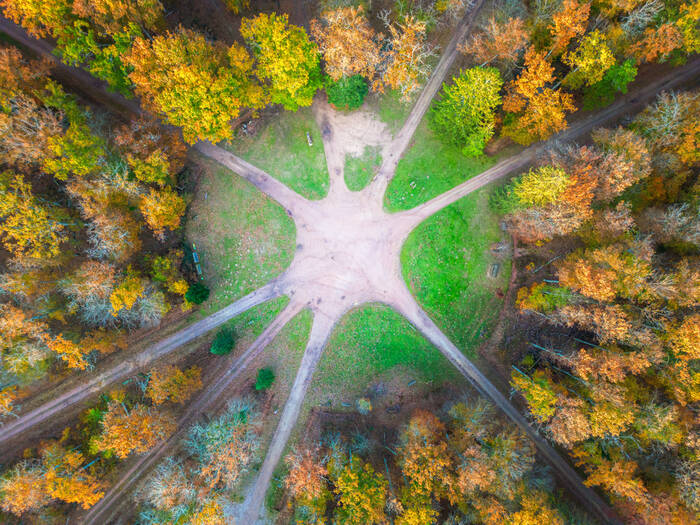 Un automne en forêt Un automne en forêt