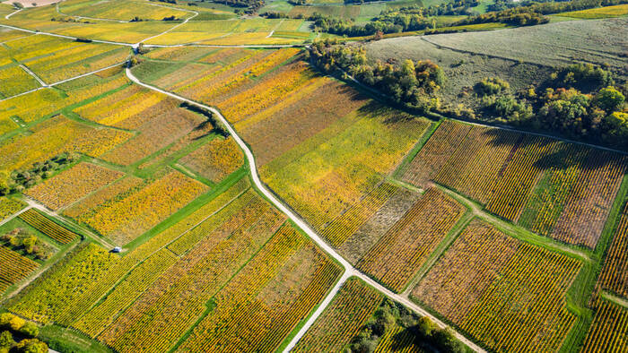 Un automne en Sancerrois Un automne en Sancerrois