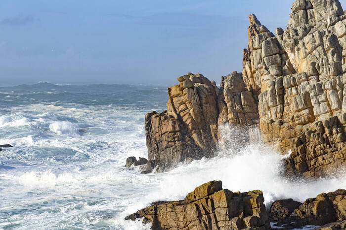 TEGEN ALLE VERWACHTINGEN IN