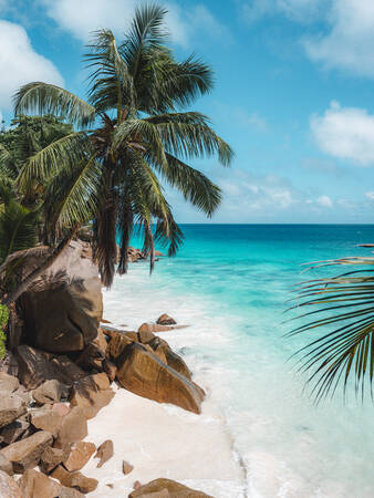 Tropic is Tropic Tropic is Tropic