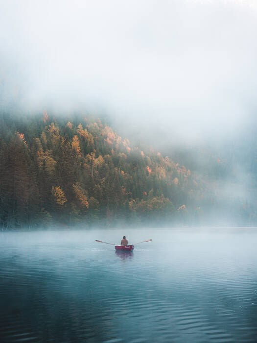 Alone in the Fog Alone in the Fog