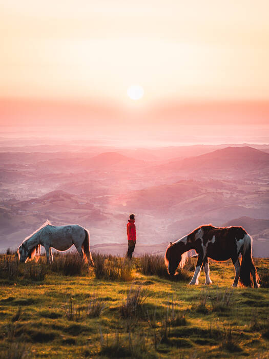 De man en zijn paarden De man en zijn paarden