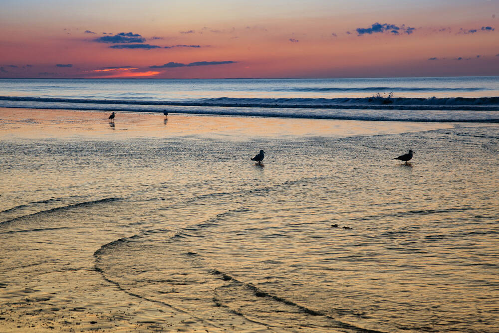 Reflections colorées  sur bord de mer avec mouettes