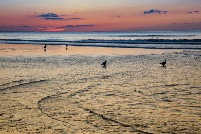 Reflections colorées sur bord de mer avec mouettes Reflections colorées sur bord de mer avec mouettes