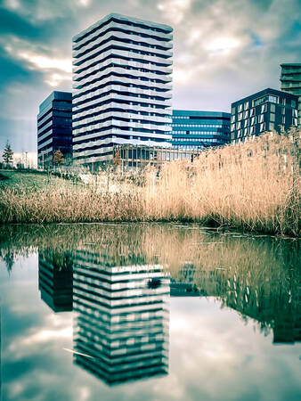 Parc Martin Luther King 2 Parc Martin Luther King 2