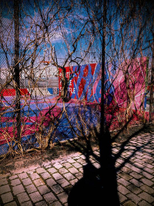 The Basketball Court The Basketball Court