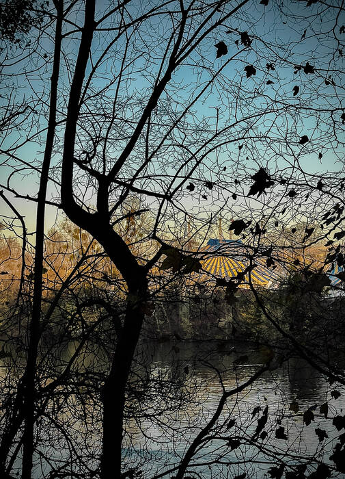 The Circus The Circus