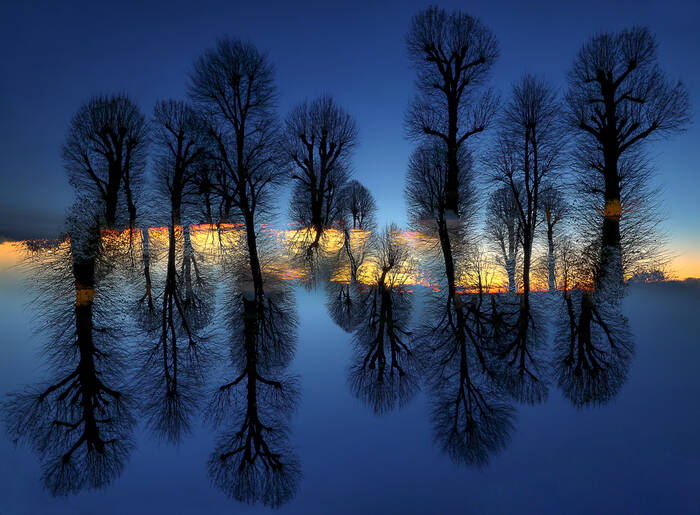 Partition arborée Partition arborée