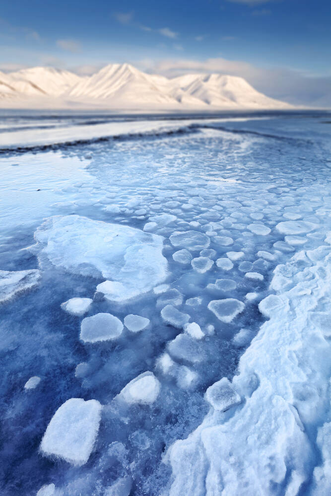 The Ice The Ice 1 Bild - Kaufen / Verkaufen