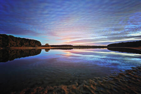 Bumblebee 1 Bumblebee 1