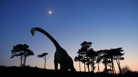 The Brachiosaurus The Brachiosaurus