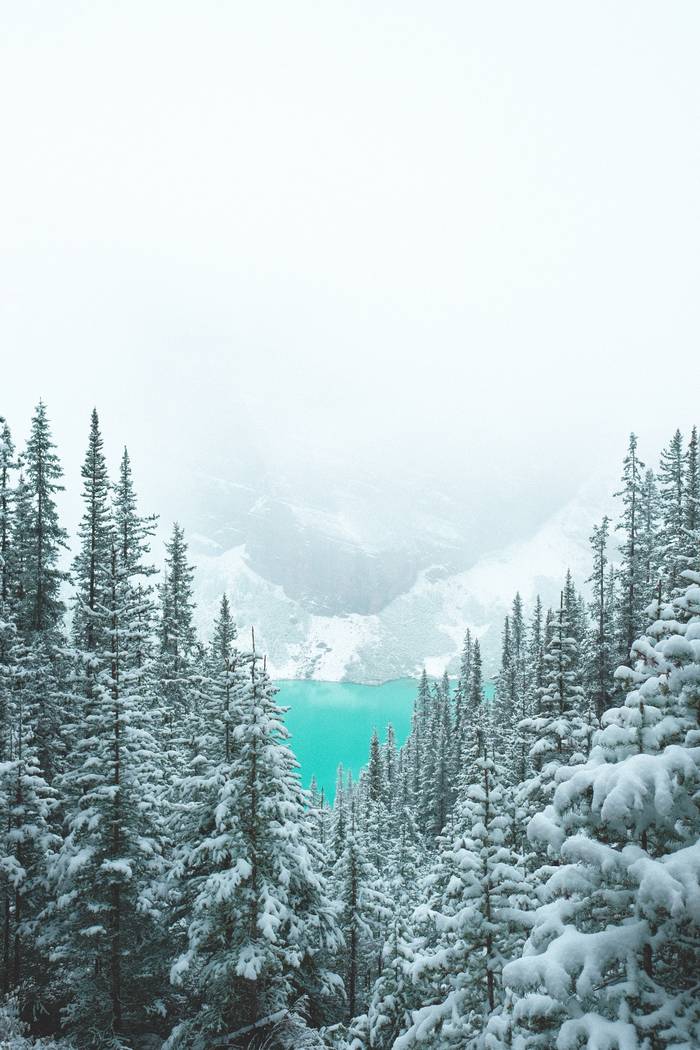 Triangle du bonheur Triangle du bonheur