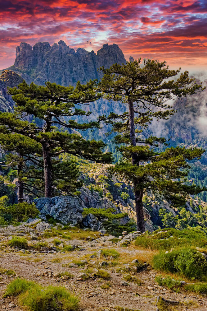 Aiguilles de Bavella