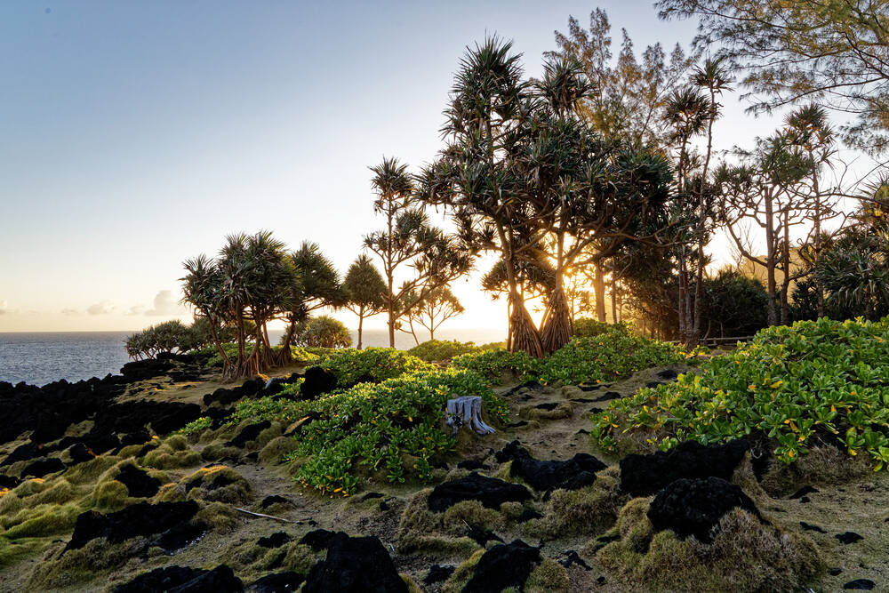 Cap Méchant on Reunion Island - Photographic print for sale