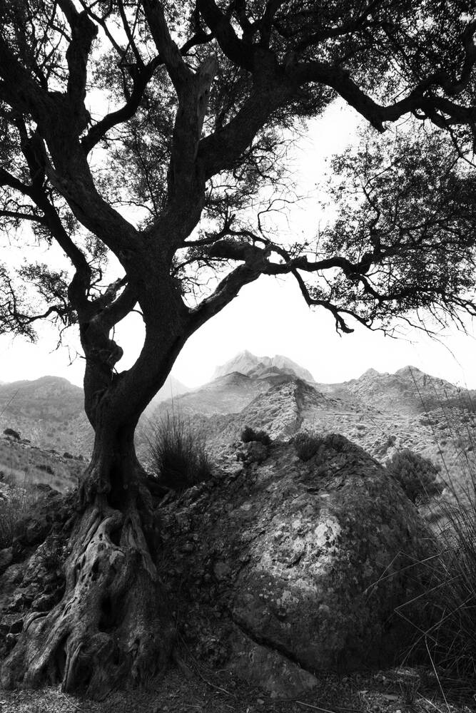 Massif dans les Baléares