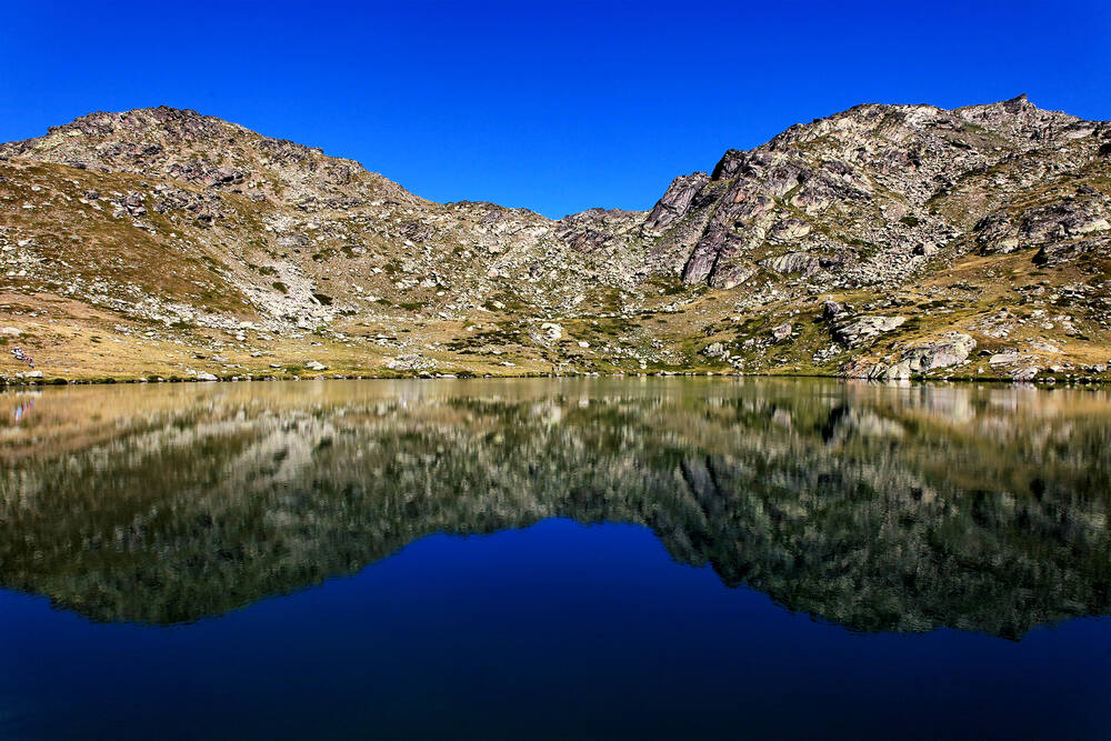 Cuadro y póster Reflexión sobre el lago de la Serpiente - Compra y venta