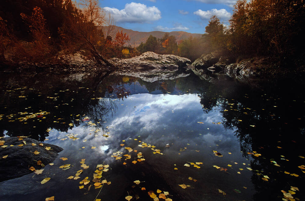 Reflections on a Corsican pond