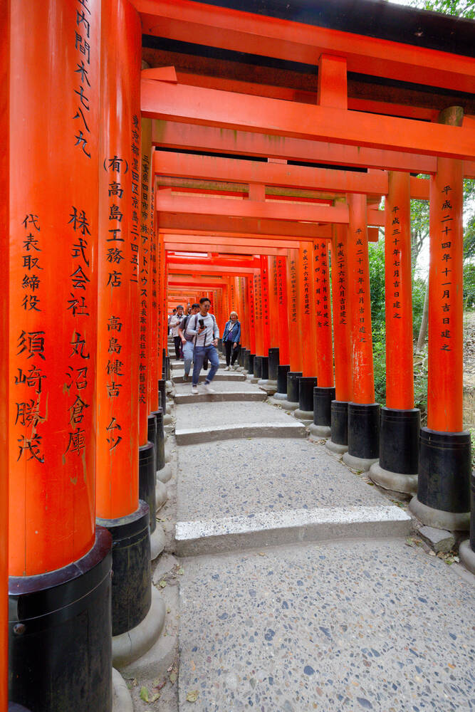 Torii at Inari in Japan 03