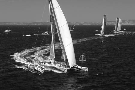 Catamaran 03 Catamaran 03