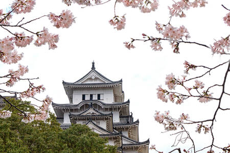 Himeji Castle 01 Himeji Castle 01