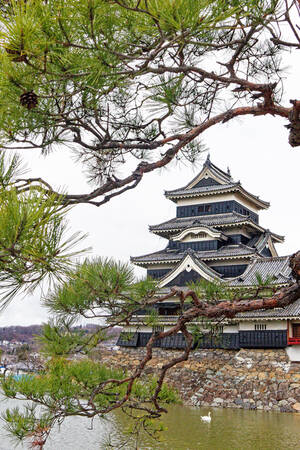 Matsumot Castle 01 Canvas Print Matsumot Castle 01 Canvas Print