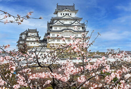 Chateau de Matsumoto 01