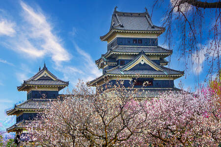 Matsumoto Castle 02 Matsumoto Castle 02