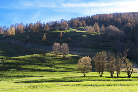 Paesaggio primaverile nel Queyras