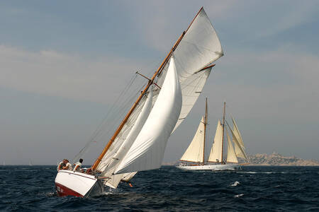 Oude tuigage 02 Oude tuigage 02