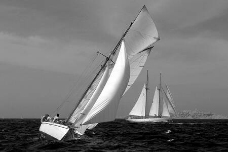 Oude tuigage 01 Oude tuigage 01