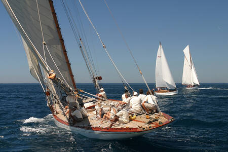 Oude tuigage 14 Oude tuigage 14