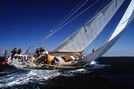 Oude tuigage 20 Oude tuigage 20