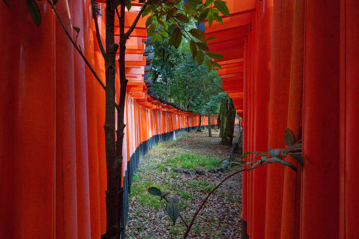 Torii bij Inari in Japan 02