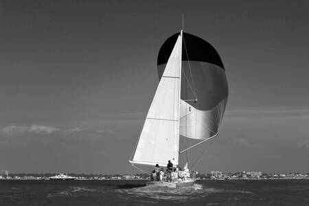 Penduick V Penduick V