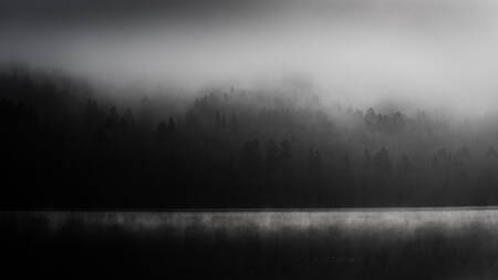 Mist on the Lake