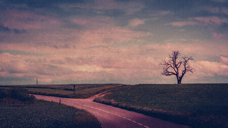 The tree of the hanged