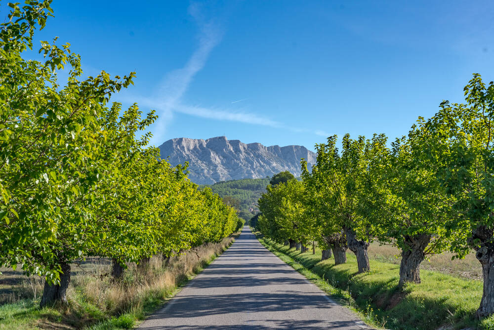 Head for Sainte-Victoire