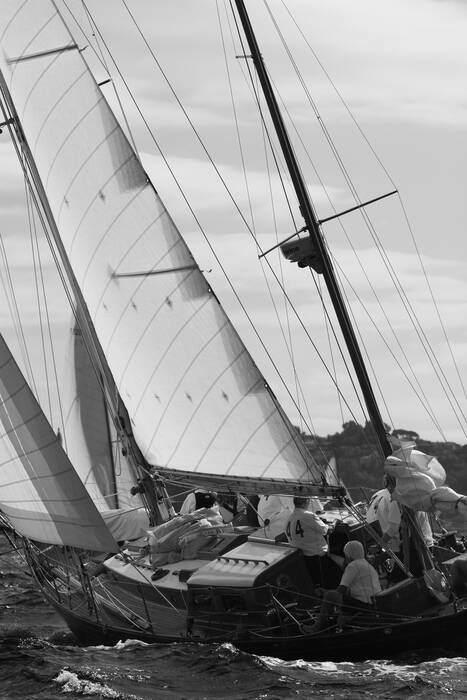 Le vele di Saint-Tropez Le vele di Saint-Tropez