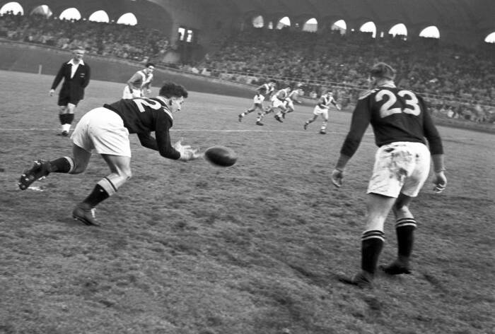 Rugby Frankrike mot Nya Zeeland 1951 Rugby Frankrike mot Nya Zeeland 1951